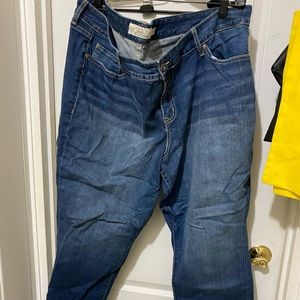 Torrid skinny jeans plus size 24
